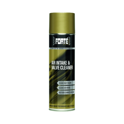 Air Intake & Valve Cleaner